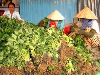 Mixed vegetable exports more than double in ‘23